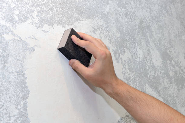 Best HVAC Mold Inspection and Cleaning  in Waynesville, OH