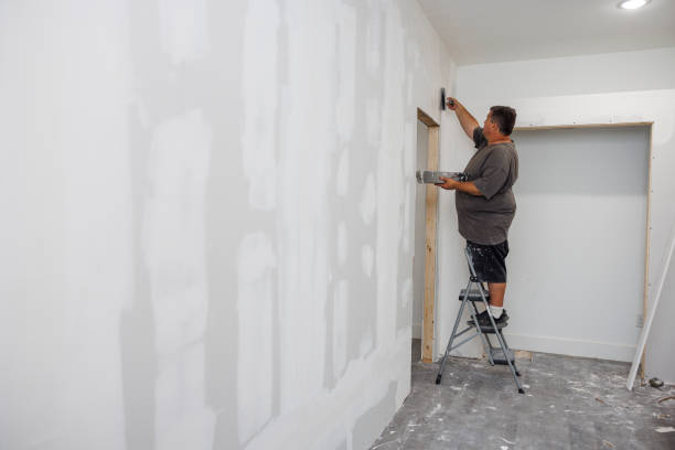 Best Mold Remediation for Healthcare Facilities  in Waynesville, OH