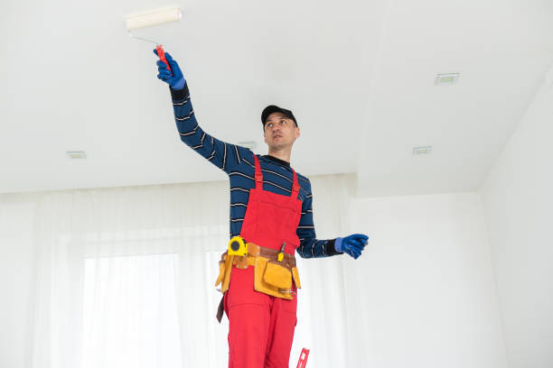 Mold Odor Removal Services in Waynesville, OH