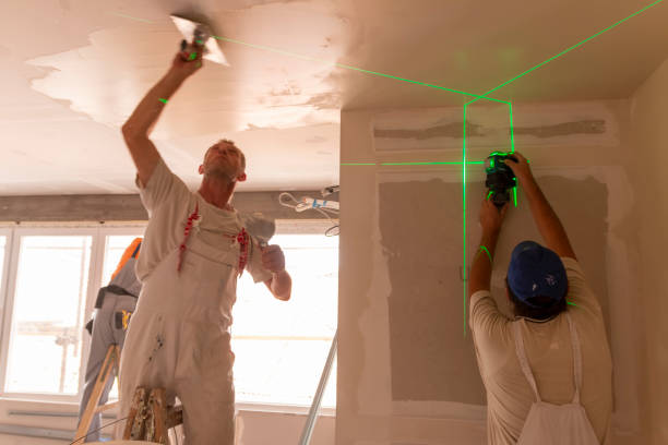 Best Mold Damage Restoration  in Waynesville, OH