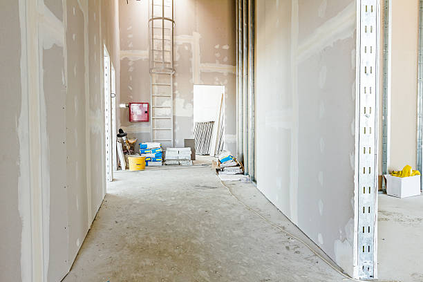 Best Forensic Mold Investigation  in Waynesville, OH